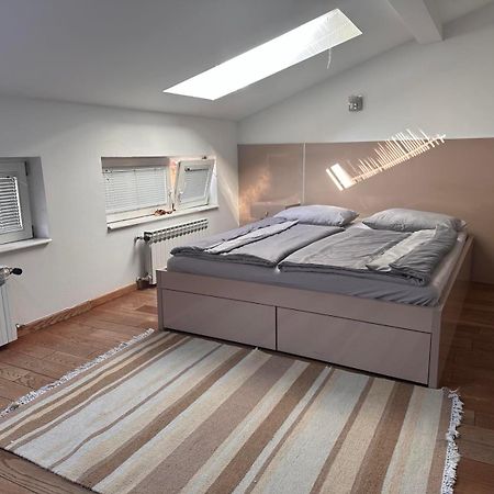 Vila Danin With Free Garage,Stari Grad サラエヴォ エクステリア 写真